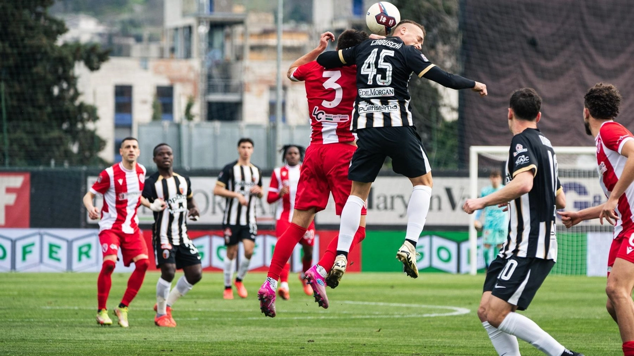 Catatan kandang Ascoli Calcio jadi kekuatan tersendiri