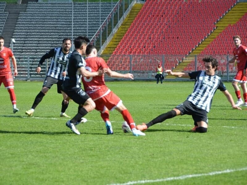 Rivalitas Panas Ascoli dan Ancona Kembali Memanas Musim ini
